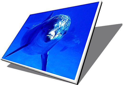 thumbnail image 2 of 13.3" Matte LED LCD Screen For HP Pavilion DM3-1035DX DM3-1039WM – 588159-001 2 of 6