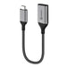 ALOGIC 15cm Ultra USB-C Male to DP Female Adapter  4K @60Hz